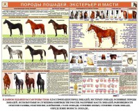 Комплект плакатов "Служебное коневодство" - fgospostavki.ru - Южно-Сахалинск