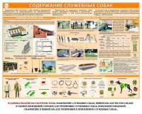 Комплект плакатов "Кинология" - fgospostavki.ru - Южно-Сахалинск