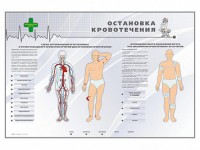 Электрифицированный стенд "Остановка кровотечения" - fgospostavki.ru - Южно-Сахалинск