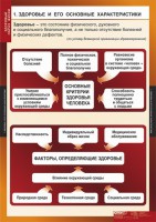 Комплект таблиц. ОБЖ. Здоровый образ жизни. - fgospostavki.ru - Южно-Сахалинск