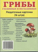Раздаточные карточки "Грибы съедобные и не съедобные" - fgospostavki.ru - Южно-Сахалинск
