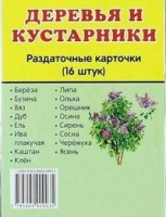 Раздаточные карточки "Деревья и кустарники" - fgospostavki.ru - Южно-Сахалинск