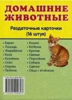 Раздаточные карточки "Домашние животные" - fgospostavki.ru - Южно-Сахалинск