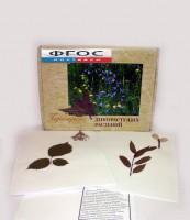 Гербарий "Дикорастущие растения" (28 видов) - fgospostavki.ru - Южно-Сахалинск