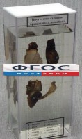 Влажный препарат "Внутреннее строение брюхоногого моллюска" - fgospostavki.ru - Южно-Сахалинск