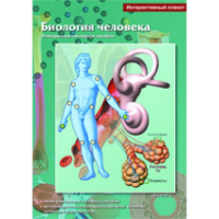 Интерактивные плакаты. Биология человека. Программно-методический комплекс - fgospostavki.ru - Южно-Сахалинск
