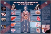 Электрифицированный стенд "Вредные привычки: алкоголизм" - fgospostavki.ru - Южно-Сахалинск