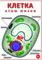 DVD "Клетка - "атом жизни" - fgospostavki.ru - Южно-Сахалинск