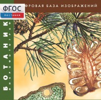 Ботаника. Микрофотографии. (Цифровая база изображений) - fgospostavki.ru - Южно-Сахалинск