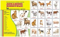 Демонстрационные карточки "Домашние животные" - fgospostavki.ru - Южно-Сахалинск