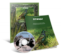 Электронное наглядное пособие «Птицы» - fgospostavki.ru - Южно-Сахалинск