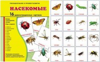 Демонстрационные карточки "Насекомые" - fgospostavki.ru - Южно-Сахалинск