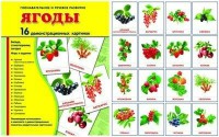 Демонстрационные карточки "Ягоды" - fgospostavki.ru - Южно-Сахалинск