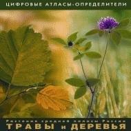 Растения средней полосы России "Травы и Деревья". (Цифровые атласы-определители) - fgospostavki.ru - Южно-Сахалинск