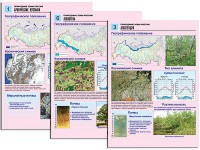 Комплект таблиц по географии "Природные зоны России" раздаточные (цветные, ламинированные, А4, 10 штук) - fgospostavki.ru - Южно-Сахалинск