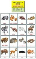 Раздаточные карточки "Дикие животные (1)" - fgospostavki.ru - Южно-Сахалинск