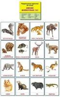 Раздаточные карточки "Дикие животные (2)" - fgospostavki.ru - Южно-Сахалинск