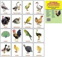 Раздаточные карточки "Птицы домашние и декоративные" - fgospostavki.ru - Южно-Сахалинск