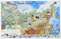 Магнитные карточки "Животные" - fgospostavki.ru - Южно-Сахалинск