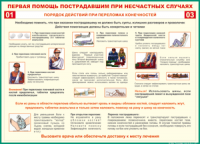 Таблица "Порядок действий при переломах конечностей" (100х140 сантиметров, винил) - fgospostavki.ru - Южно-Сахалинск