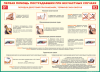 Таблица "Порядок действий при ранениях и термических ожогах" (100х140 сантиметров, винил) - fgospostavki.ru - Южно-Сахалинск