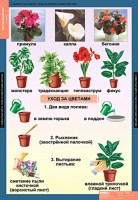 Комплект таблиц. Окружающий мир 1 класс. - fgospostavki.ru - Южно-Сахалинск