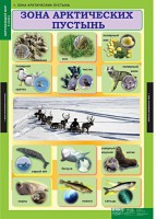 Комплект таблиц. Окружающий мир 4 класс. - fgospostavki.ru - Южно-Сахалинск
