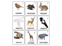 Набор магнитных карточек по музыке "Животные" (9 штук) - fgospostavki.ru - Южно-Сахалинск