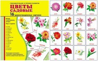 Демонстрационные карточки "Цветы садовые" - fgospostavki.ru - Южно-Сахалинск