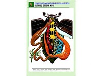Рельефная таблица "Внутреннее строение жука" (формат А1, матовое ламинирование) - fgospostavki.ru - Южно-Сахалинск