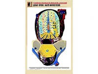 Рельефная таблица "Долька печени. Макро-микростроение" (формат А1, матовое ламинирование) - fgospostavki.ru - Южно-Сахалинск