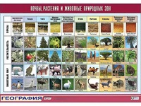 Таблица демонстрационная "Почвы, растения и животные природных зон" (винил 100*140) - fgospostavki.ru - Южно-Сахалинск