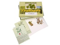 Гербарий "Для начальной школы" (30 видов, с иллюстрациями) - fgospostavki.ru - Южно-Сахалинск