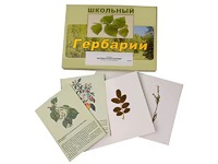 Гербарий "Деревья и кустарники" (22 вида, с иллюстрациями) - fgospostavki.ru - Южно-Сахалинск
