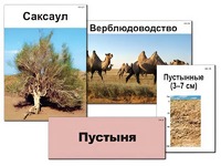 Модель-аппликация "Природные зоны России" (ламинированная) - fgospostavki.ru - Южно-Сахалинск