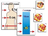 Модель-аппликация "Явление радиоактивности" (ламинированная) - fgospostavki.ru - Южно-Сахалинск
