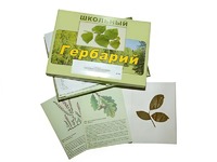 Гербарий "Дикорастущие растения" (30 видов, с иллюстрациями) - fgospostavki.ru - Южно-Сахалинск