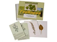 Гербарий "Лекарственные растения" (22 вида с иллюстрациями) - fgospostavki.ru - Южно-Сахалинск