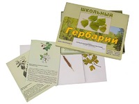 Гербарий "Сельскохозяйственные растения" (30 видов, с иллюстрациями) - fgospostavki.ru - Южно-Сахалинск