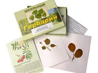Гербарий "Систематика растений. Семейство Розоцветные" (раздаточный) - fgospostavki.ru - Южно-Сахалинск