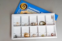 Коллекция "Раковины моллюсков" - fgospostavki.ru - Южно-Сахалинск