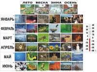 Фенологические наблюдения - fgospostavki.ru - Южно-Сахалинск