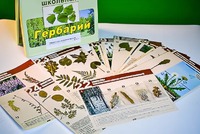 Гербарий к курсу основ общей биологии - fgospostavki.ru - Южно-Сахалинск