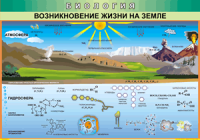 Таблица "Возникновение жизни на земле" (100х140 сантиметров, винил) - fgospostavki.ru - Южно-Сахалинск