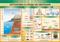 Таблица "Организмы и среды их обитания" (100х140 сантиметров, винил) - fgospostavki.ru - Южно-Сахалинск