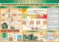 Таблица "Организация и функционирование сообществ" (100х140 сантиметров, винил) - fgospostavki.ru - Южно-Сахалинск