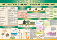 Таблица "Биотические взаимоотношения организмов" (100х140 сантиметров, винил) - fgospostavki.ru - Южно-Сахалинск