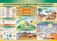 Таблица "Антропогенное воздействие на биосферу" (100х140 сантиметров, винил) - fgospostavki.ru - Южно-Сахалинск