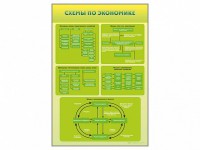 Стенды "Схемы по экономике" - fgospostavki.ru - Южно-Сахалинск