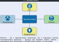 Интерактивные курсы. Биология 5 класс. Базовый - fgospostavki.ru - Южно-Сахалинск